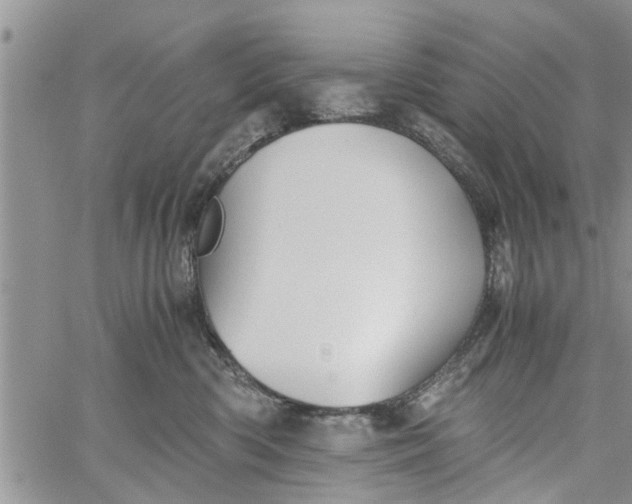 X0000060780426200511241824