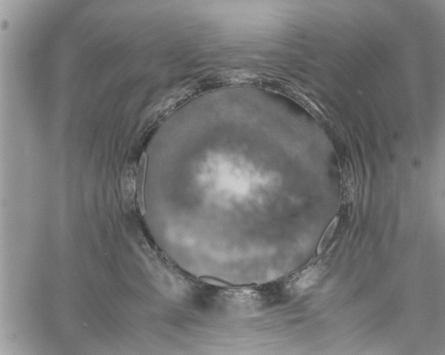 X0000060780427200511241824