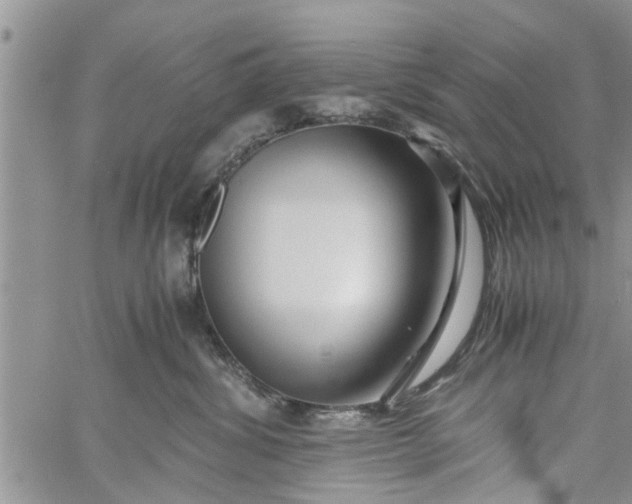 X0000060780428200511241824