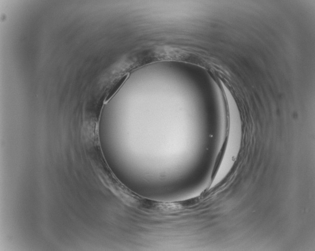 X0000060780429200511241824