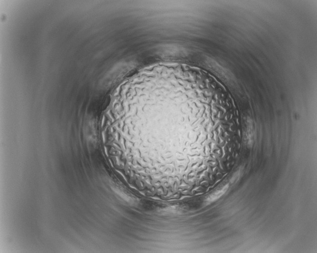 X0000060780430200511241824