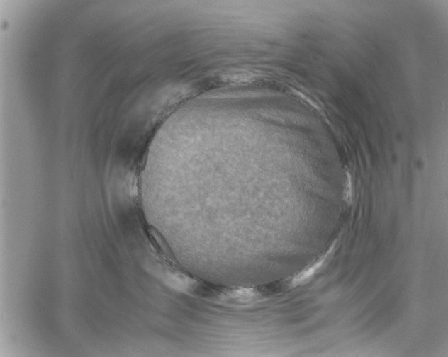 X0000060780431200511241824