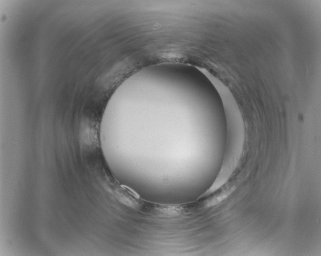 X0000060780432200511241824