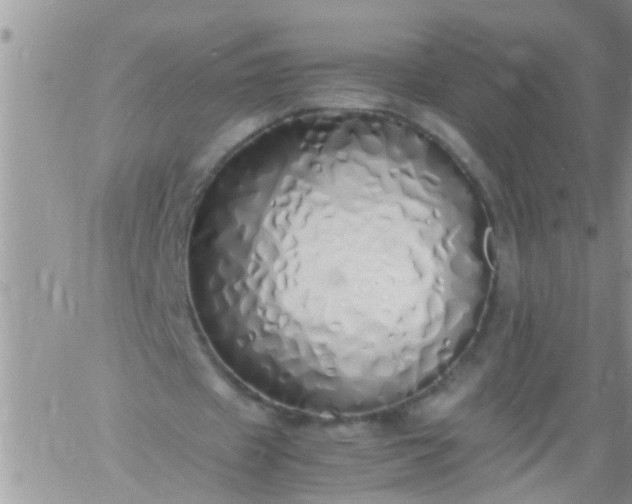 X0000060780433200511241823