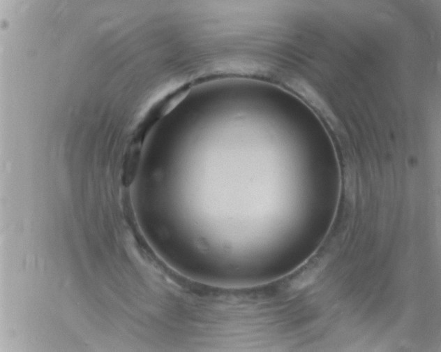 X0000060780434200511241823