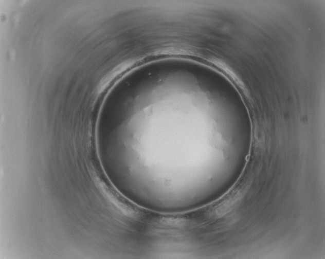 X0000060780437200511241823