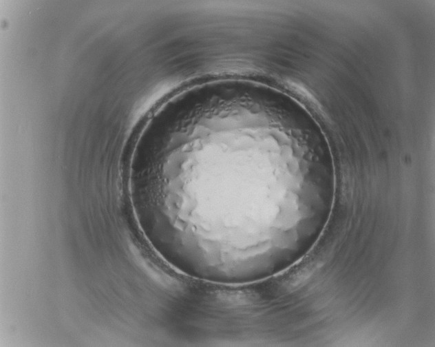 X0000060780439200511241823