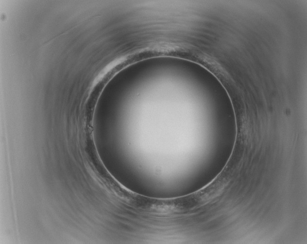 X0000060780440200511241823