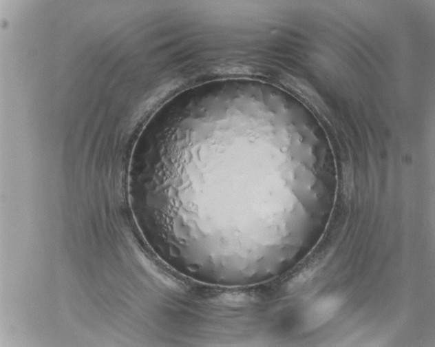 X0000060780441200511241823