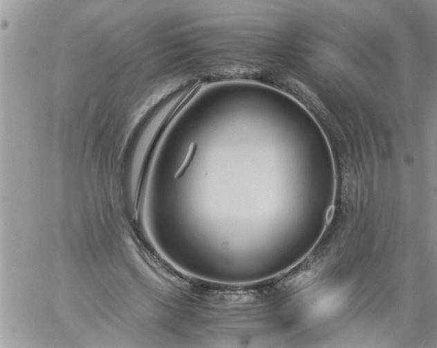 X0000060780443200511241823