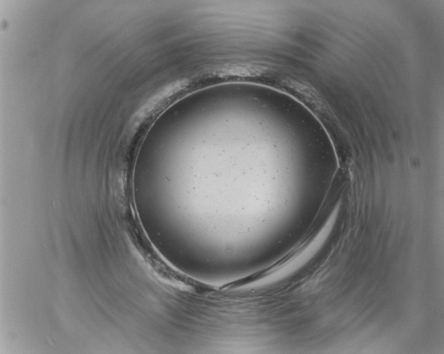 X0000060780444200511241823