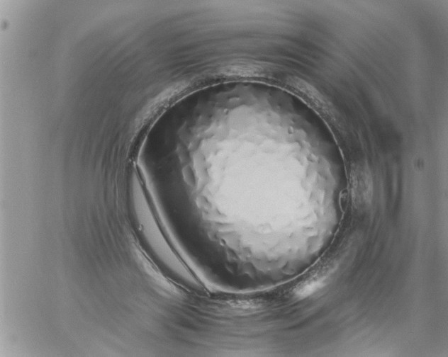 X0000060780445200511241823