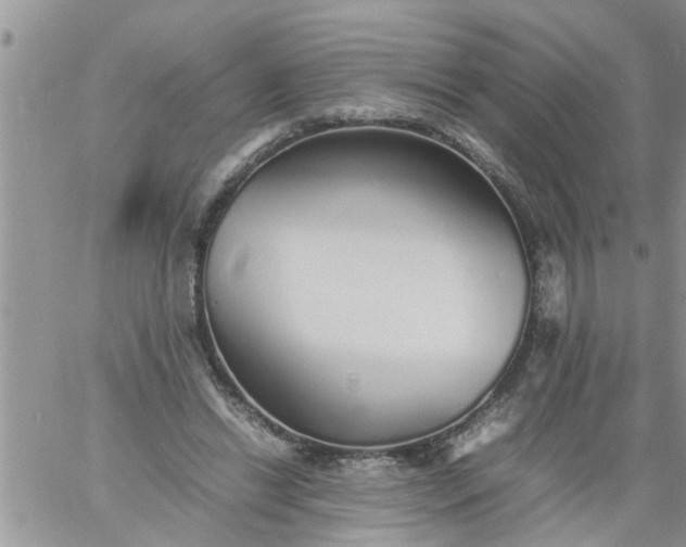 X0000060780446200511241823