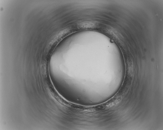 X0000060780447200511241823