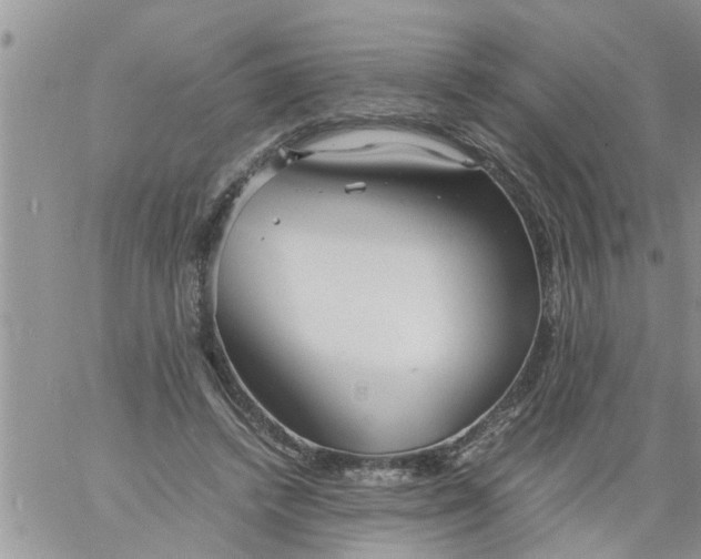 X0000060780448200511241823