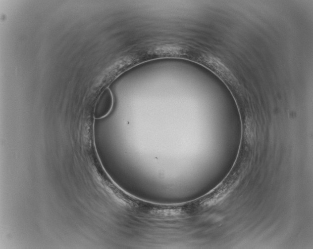 X0000060780449200511241823