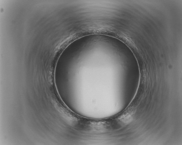 X0000060780450200511241823