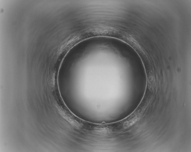 X0000060780454200511241824