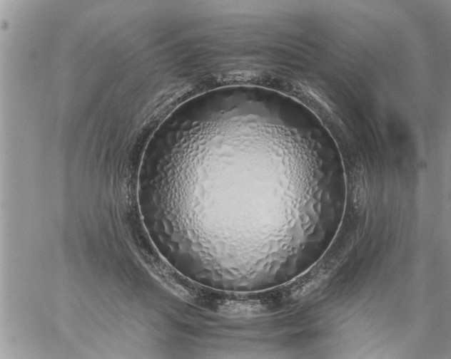 X0000060780455200511241824