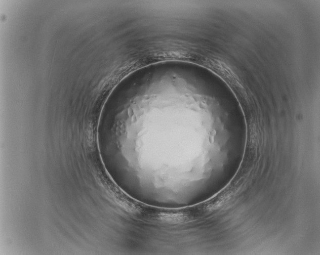 X0000060780457200511241824