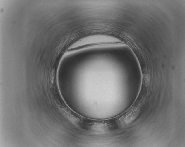 X0000060780458200511241824