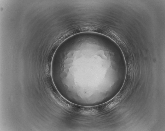 X0000060780459200511241824