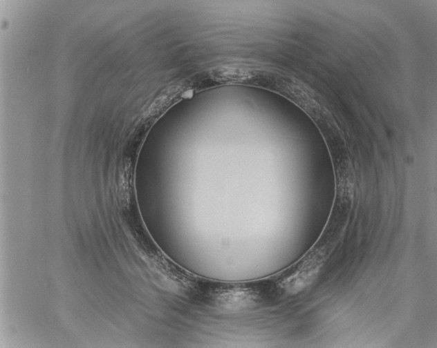 X0000060780460200511241824