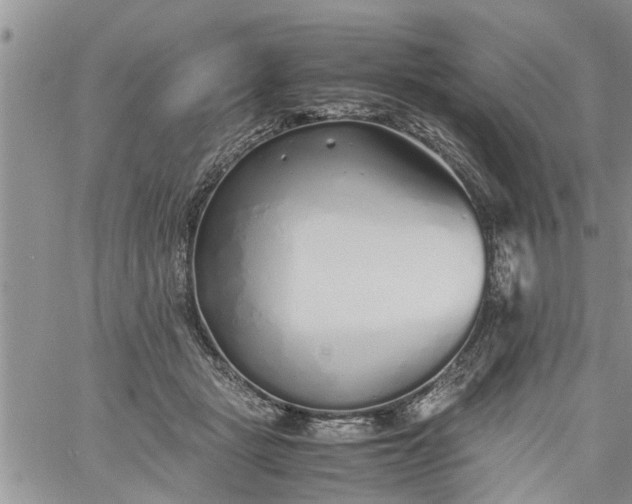 X0000060780461200511241824