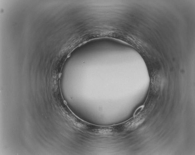 X0000060780462200511241824