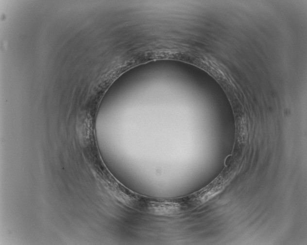 X0000060780463200511241824