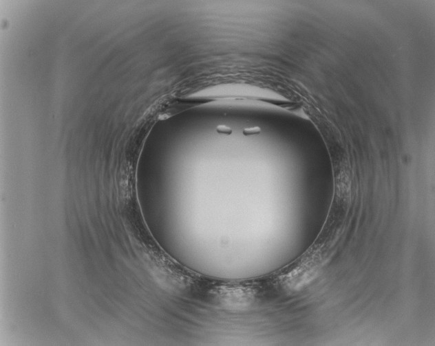 X0000060780464200511241824