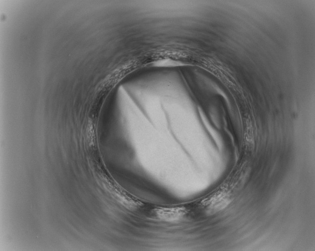 X0000060780465200511241824