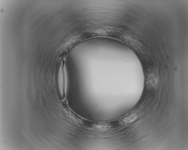 X0000060780466200511241824