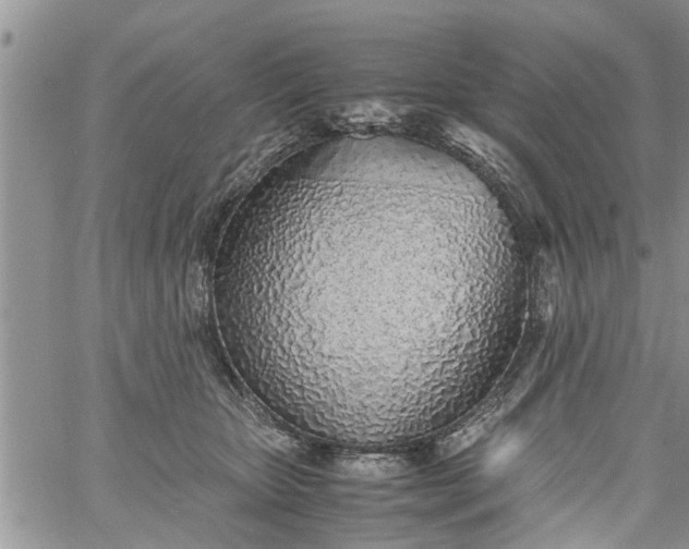 X0000060780467200511241824