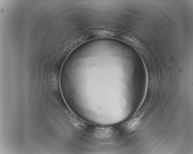 X0000060780469200511241824