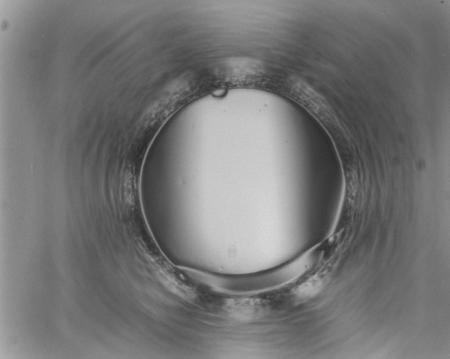 X0000060780470200511241824