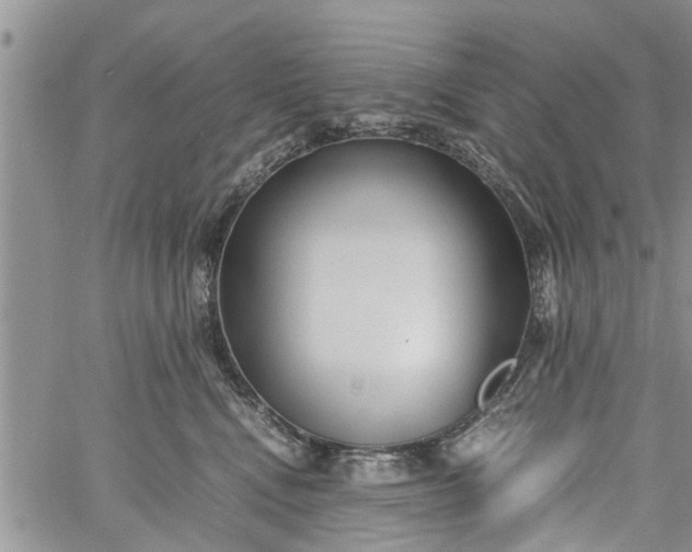 X0000060780472200511241824