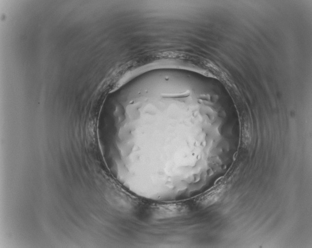 X0000060780473200511241824