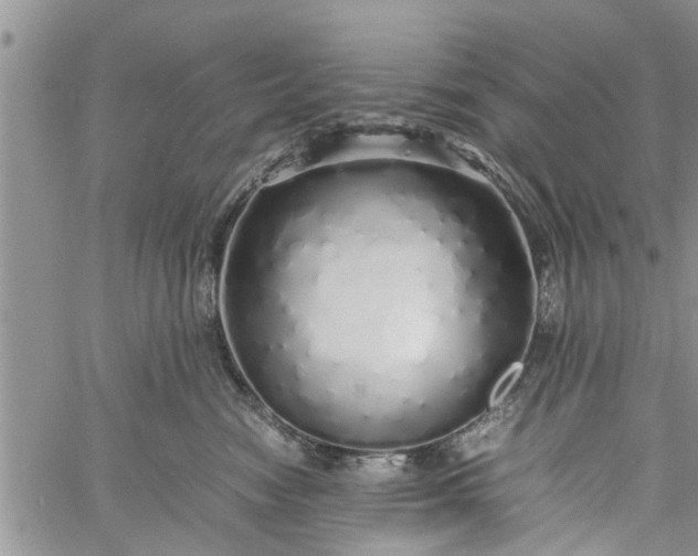 X0000060780474200511241824