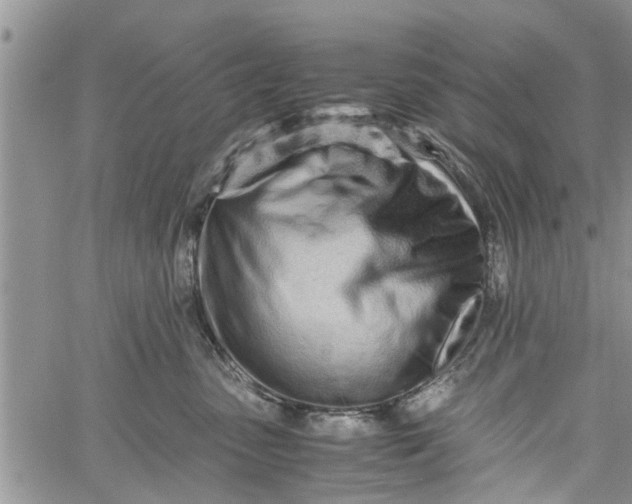 X0000060780475200511241824