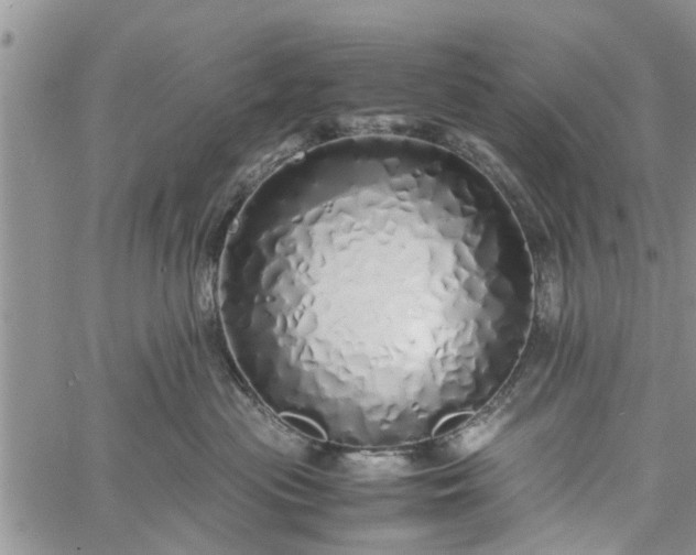 X0000060780477200511241824