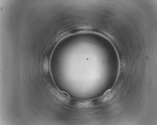 X0000060780479200511241824