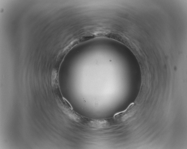 X0000060780480200511241824