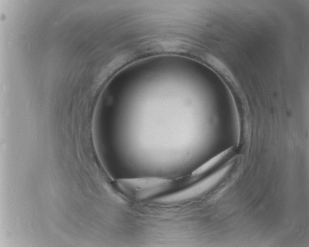 X0000060780481200511241823