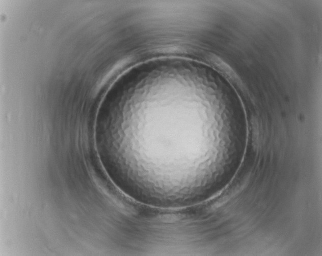 X0000060780482200511241823