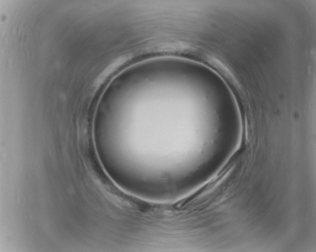 X0000060780483200511241823