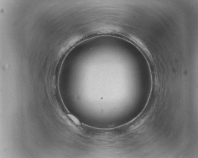 X0000060780485200511241823