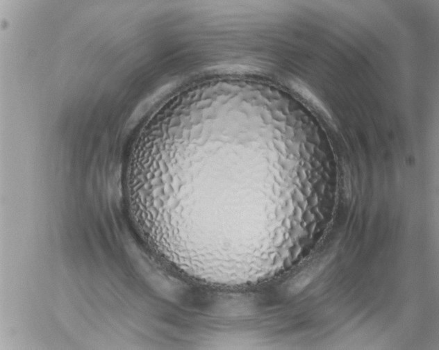 X0000060780486200511241823