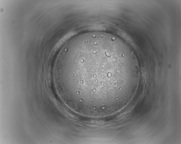 X0000060780487200511241823