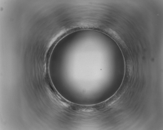 X0000060780488200511241823